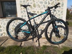 Horské kolo Focus Whistler pro 29 2017 vel.L