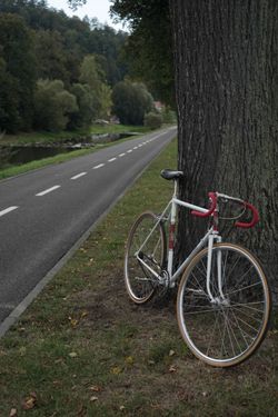 Cinelli Riviera
