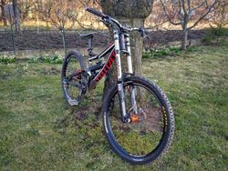 Specialized Status