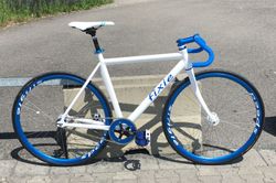Singlespeed/Fixie/Fixka Fort Al