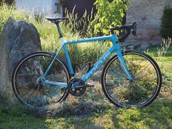 Focus Cayo Ultegra carbon-modrá AG2R 2017 XL, TOP STAV