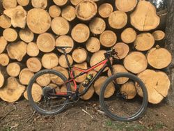 Cannondale Scalpel Carbon 2