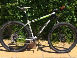 CANNONDALE F29 Factory Racing