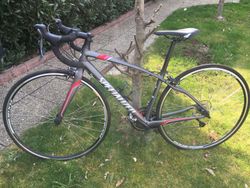 Prodám dámské silniční kolo Specialized DolceX3, vel. S