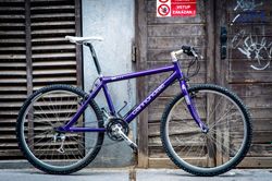 Cannondale M800 Beast of the East