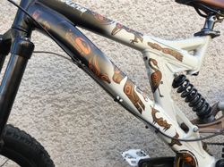 Specialized Big Hit 1