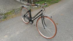 Alpina RONDINE 28 "- městské dámské kolo