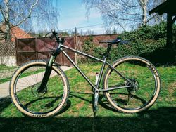 COTIC SOLARIS 29"