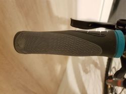 Scott contessa scale 910