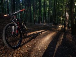 Specialized Stumpjumper FSR Expert 650b