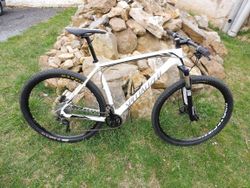 Specialized Stumpjumper 29 XL