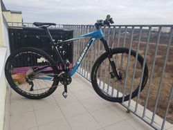 Giant Anthem X 29er 4