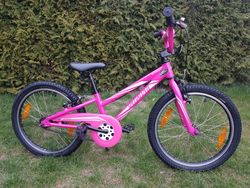Specialized Hotrock 20