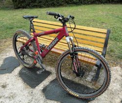 Trek Bruiser One