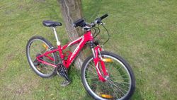 Specialized 24
