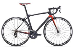 Giant TCR ADVANCED 2 (2017) najeto 600km