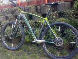 Kellys Thorx 10 Limited Edition