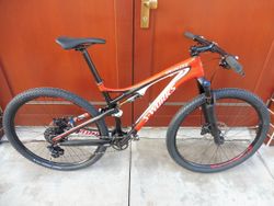 Specialized Epic S-works 29 L
