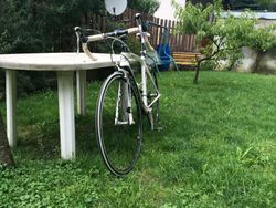 Kellys URC 3.0 velikost 52 M