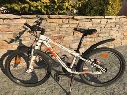 KTM WILD THINK 24"