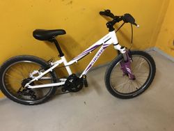 Specialized Hotrock 20"