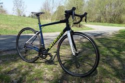 SPECIALIZED ALLEZ