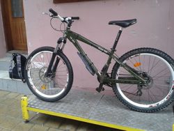 Mongoose thunderboll