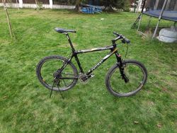 Giant MCM karbon, 9.7Kg