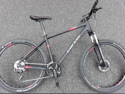 Carver 17"