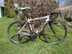Prodám superopečovávanou silničku Maxbike s karbonovou vidlicí