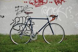 Kovařík 57 cm Campagnolo Veloce 10
