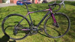 Focus CAYO AL Disc DONNA TIAGRA