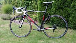 MEKK poggio carbon