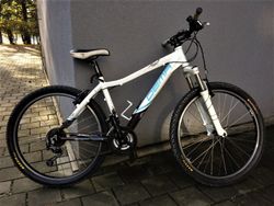 Dámské horské kolo Dema Tigra 18" M