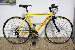 Fitness kolo Wilier-Triestina Escape s karbonovou vidlici