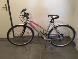 Pánské krosové kolo Leader Fox 700c, 19"