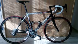 Viner Dedalus Campagnolo