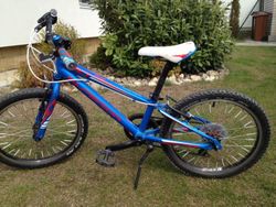 Superior 20"