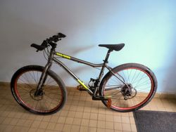 Author Sumo + fatbike a 29" kola