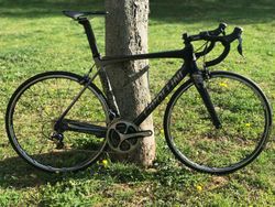 /// Cipollini Bond ///