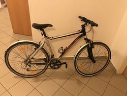Krosové kolo Apache Matto 19"