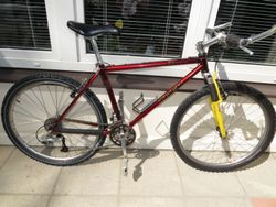 TREK SINGLETRACK ZX 970