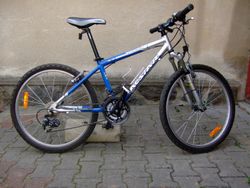Acstar Younger 24"