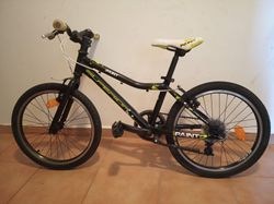Superior Paint XC 20"