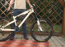 Freeride AMB