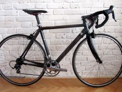 CELO- KARBON FOCUS CAYO na Shimano 105, 55 cm