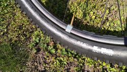 Zapletená kola na nábách TUNE a ráfcích WTB ASYM i29 27,5 dráty Sapim CX RAY