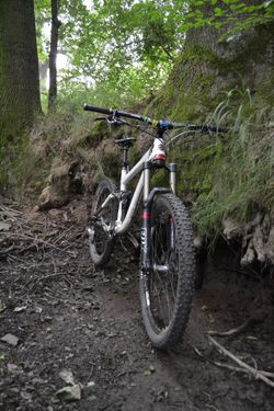 Rocky Mountain Slayer
