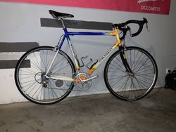 Colnago Dream - Campagnolo Chorus/Record