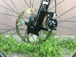 MTB Pells Razzer Elite D